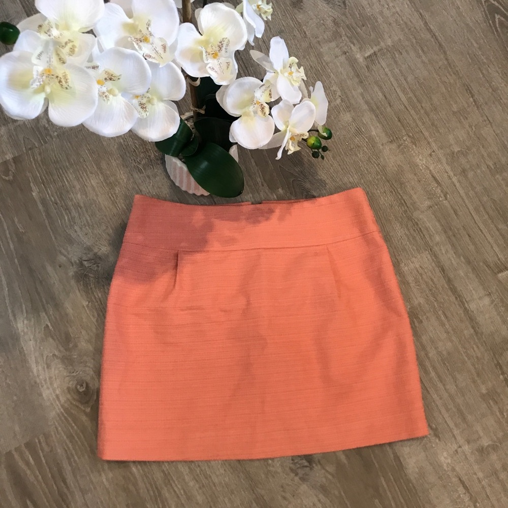 J Crew Mini Skirt